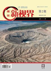 《煤炭新视界》