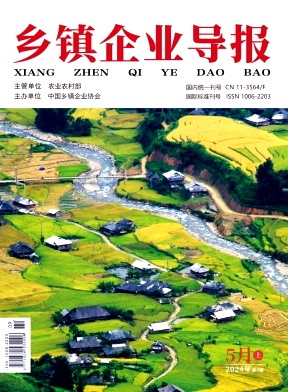 《乡镇企业导报》